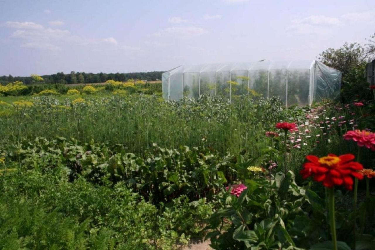 Agroturystyka Pod Modrzewiem Baltow Zewnętrze zdjęcie